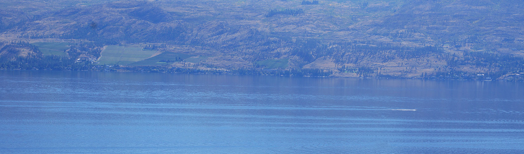 September 9, 2018, sighting by Andrew Stark of Kelowna that appears to offer pretty conculsive evidence that the great Lake Monster of Lake Okanagan does exist!