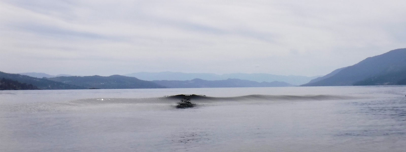 Up close and personal - was this Ogopogo?